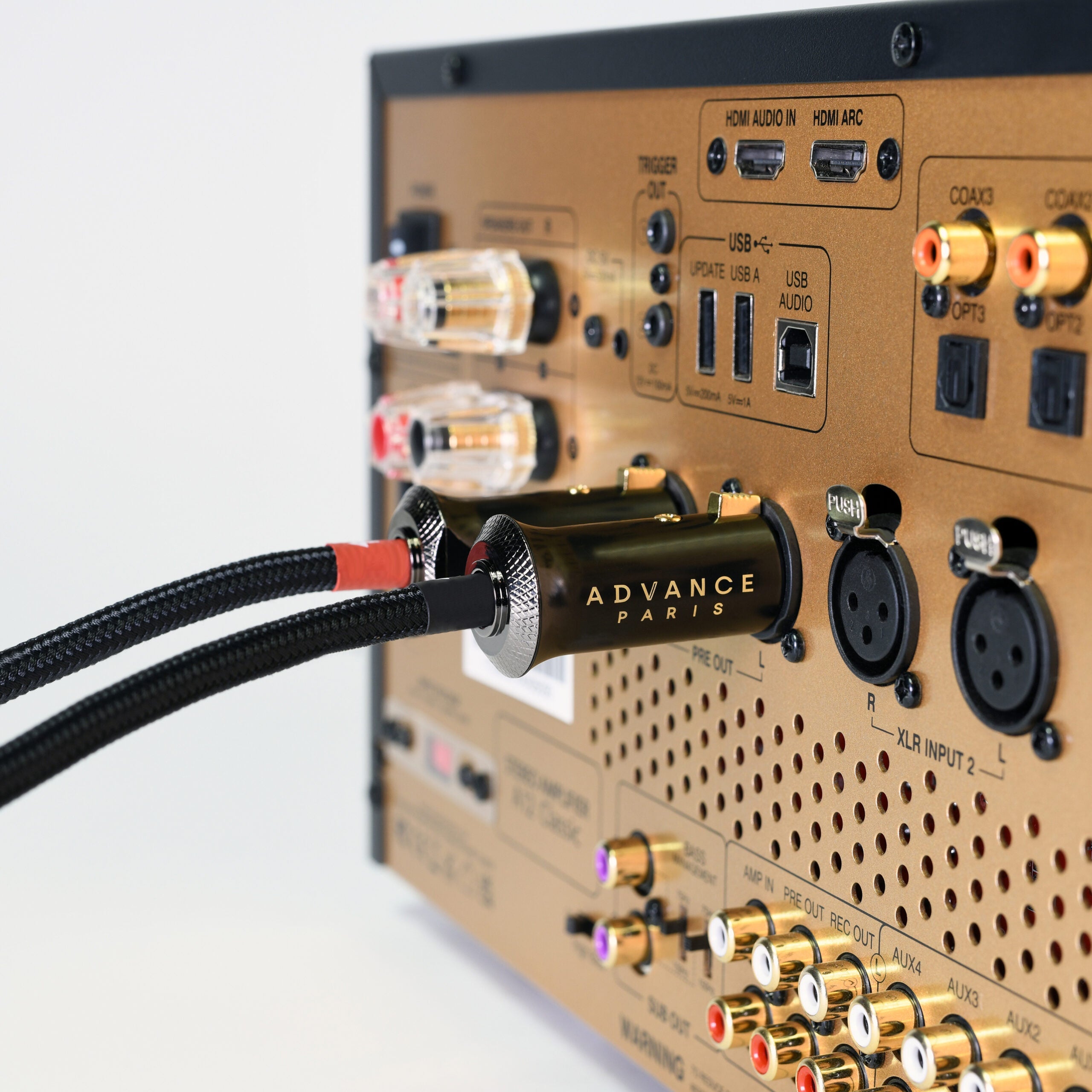 LINK XLR