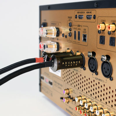 LINK XLR
