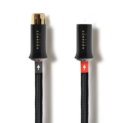 LINK XLR